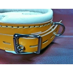 Heavy Duty Restraint Collar Hospital, Medical Asylum