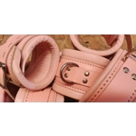 Pink Full Set with Waist Belt and Collar