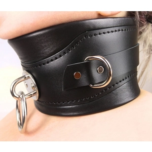 Heavy Duty Padded Posture Co..