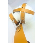 Head Restraint Head Harness and Bed Straps Medical Hospital Tan