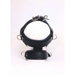 Head Restraint Head Harness and Bed Straps