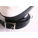 Head Restraint Head Harness and Bed Straps