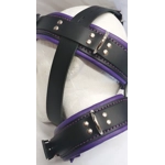 Head Restraint Head Harness and Bed Straps Purple and Black