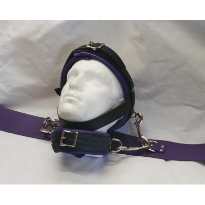 Head Restraint Head Harness and Bed Straps Purple and Black