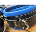 Classic Black and Blue Restraints Set