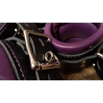 Bondage Retraints in Black and Violet