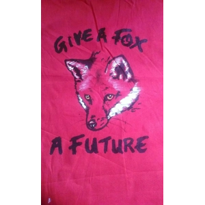 GIVE A FOX t shirt