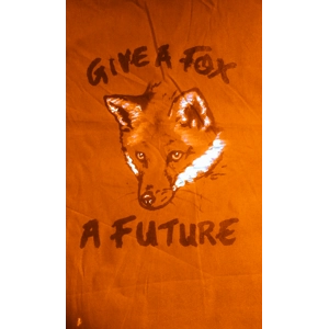 GIVE A FOX t shirt