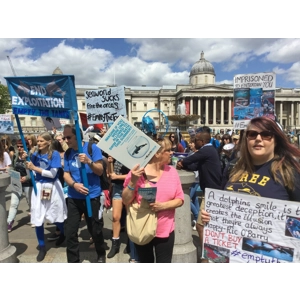 Hand printed Dolphin tee