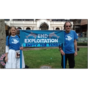 Hand printed Dolphin tee