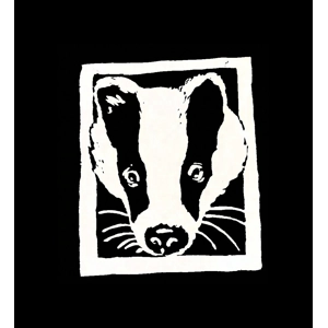 BADGER T Shirt