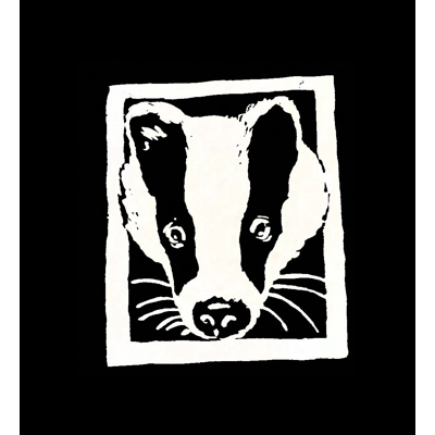 BADGER T Shirt title=