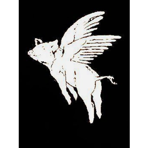 Pig Dreams T