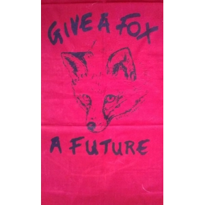 GIVE A FOX t shirt