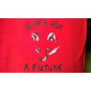 GIVE A FOX t shirt