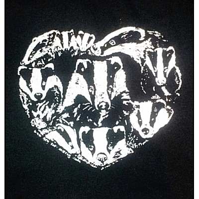 BADGERS IN MY HEART t shirt title=