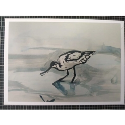 Avocet, greetings card, digital reproduction of an original print. title=