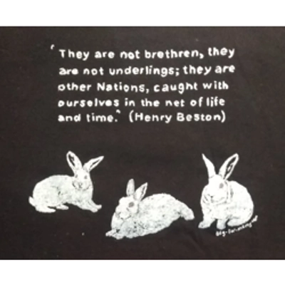 "THEY ARE NOT BRETHREN" hand-printed tee shirt title=