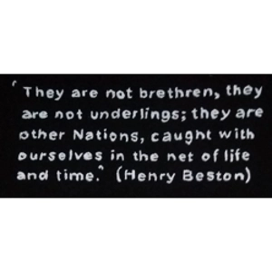 "THEY ARE NOT BRETHREN" hand-printed tee shirt