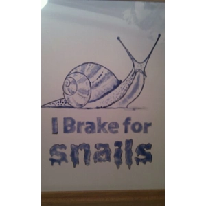 I brake for snails T