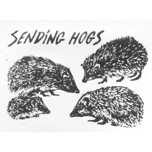 Sending Hogs, sweet hedgehog greetings card.