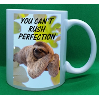 You Can't Rush Perfecti..