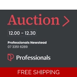 Professionals Auction 60x45cm Replacem..