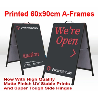 Professionals 60x90 Met..