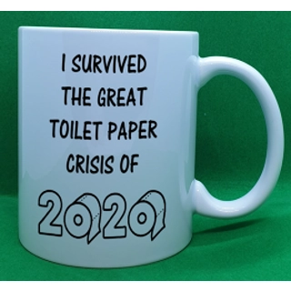 I Survived The 2020 Toi..