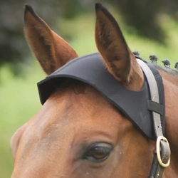 Hy Equestrian Poll Guard Black