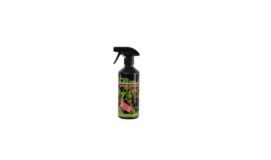 Category Image for Household & Garden