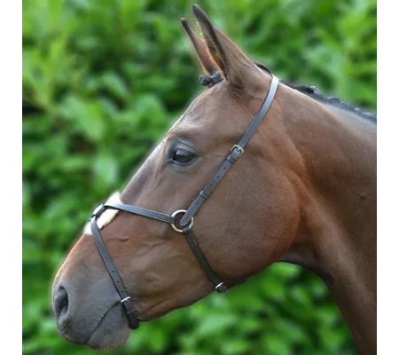 Hy Equestrian Mexican Grackle Noseband Black