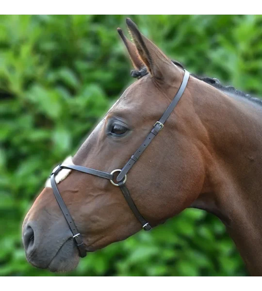 Hy Equestrian Mexican Grackle Noseband Black