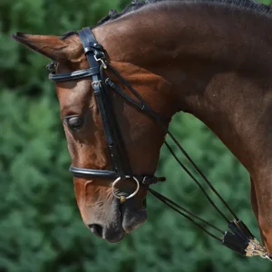 FOR THE HORSE