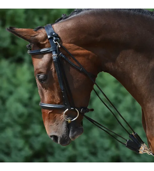 Hy Equestrian De Gouge - Black - Cob/Full
