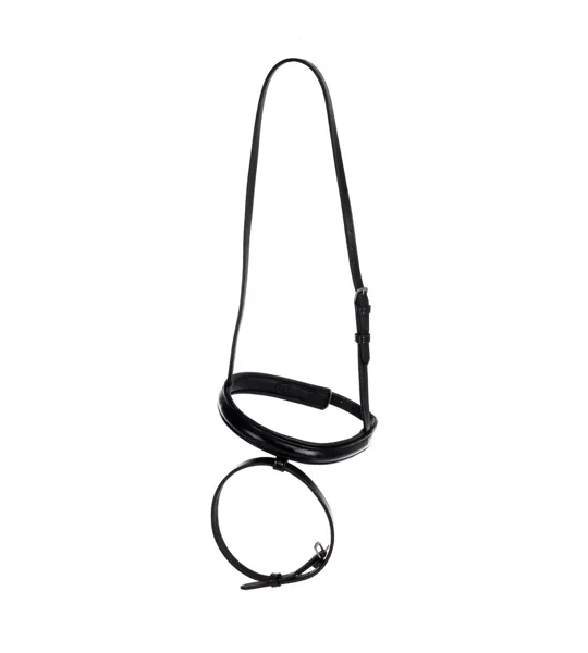 Hy Equestrian Flash Nose Band Black