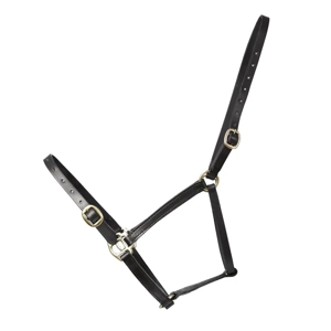 Hy Equestrian Leather Foal Head Collar Black