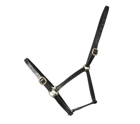 Hy Equestrian Leather Foal Head Collar Black