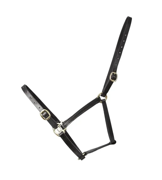 Hy Equestrian Leather Foal Head Collar Black