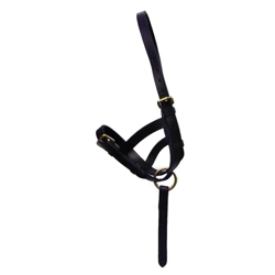 Hy Equestrian Leather Foal Slip Black