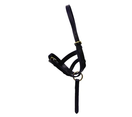 Hy Equestrian Leather Foal Slip Black