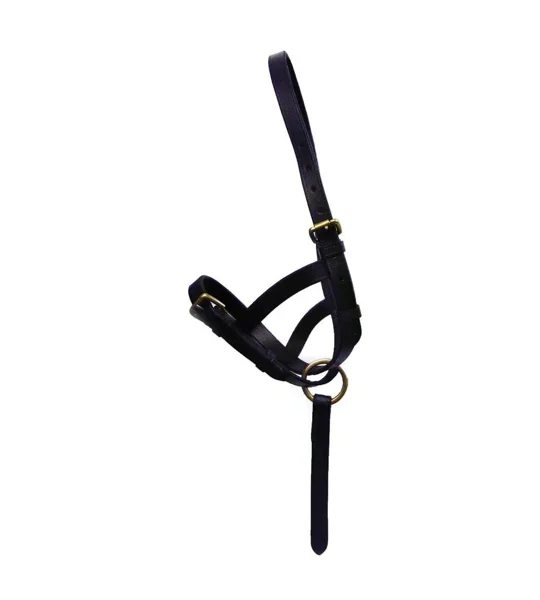 Hy Equestrian Leather Foal Slip Brown
