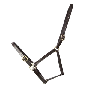 Hy Equestrian Leather Foal Head Collar Brown