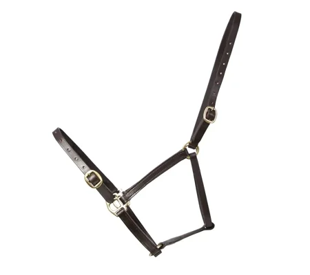 Hy Equestrian Leather Foal Head Collar Brown