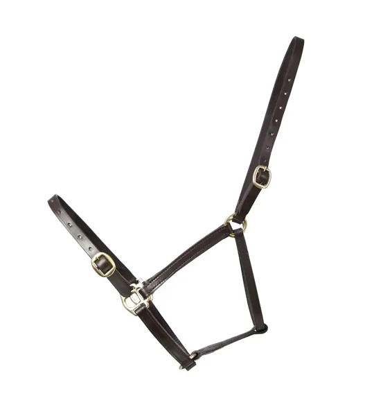 Hy Equestrian Leather Foal Head Collar Brown