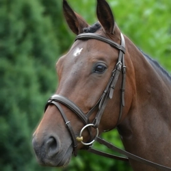 Hy Equestrian Padded Flash Bridle with Rubber Grip Reins Brown