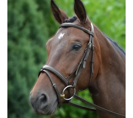 Hy Equestrian Padded Flash Bridle with Rubber Grip Reins Brown