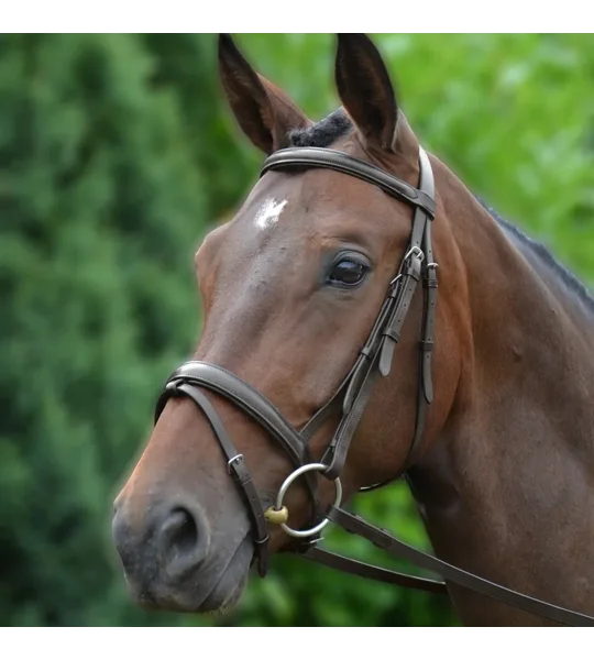 Hy Equestrian Padded Flash Bridle with Rubber Grip Reins Brown