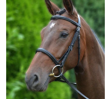 Hy Equestrian Padded Cavesson Bridle/Rubber Grip Reins Black