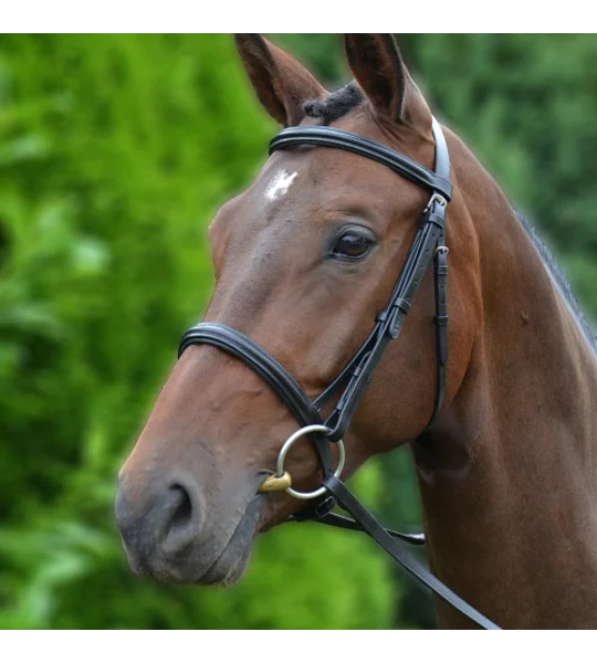 Hy Equestrian Padded Cavesson Bridle/Rubber Grip Reins Black